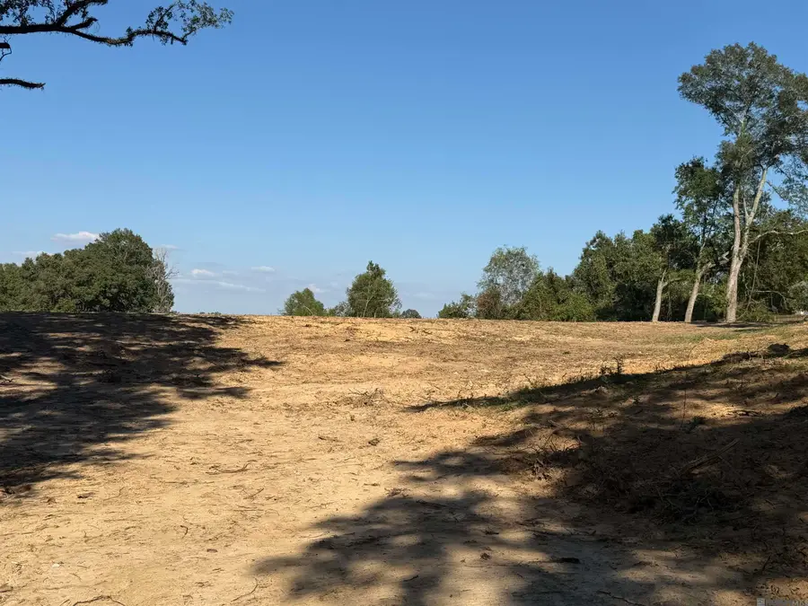 43 N Stately Oaks Dr, Saint George, LA 70810 - Image #3