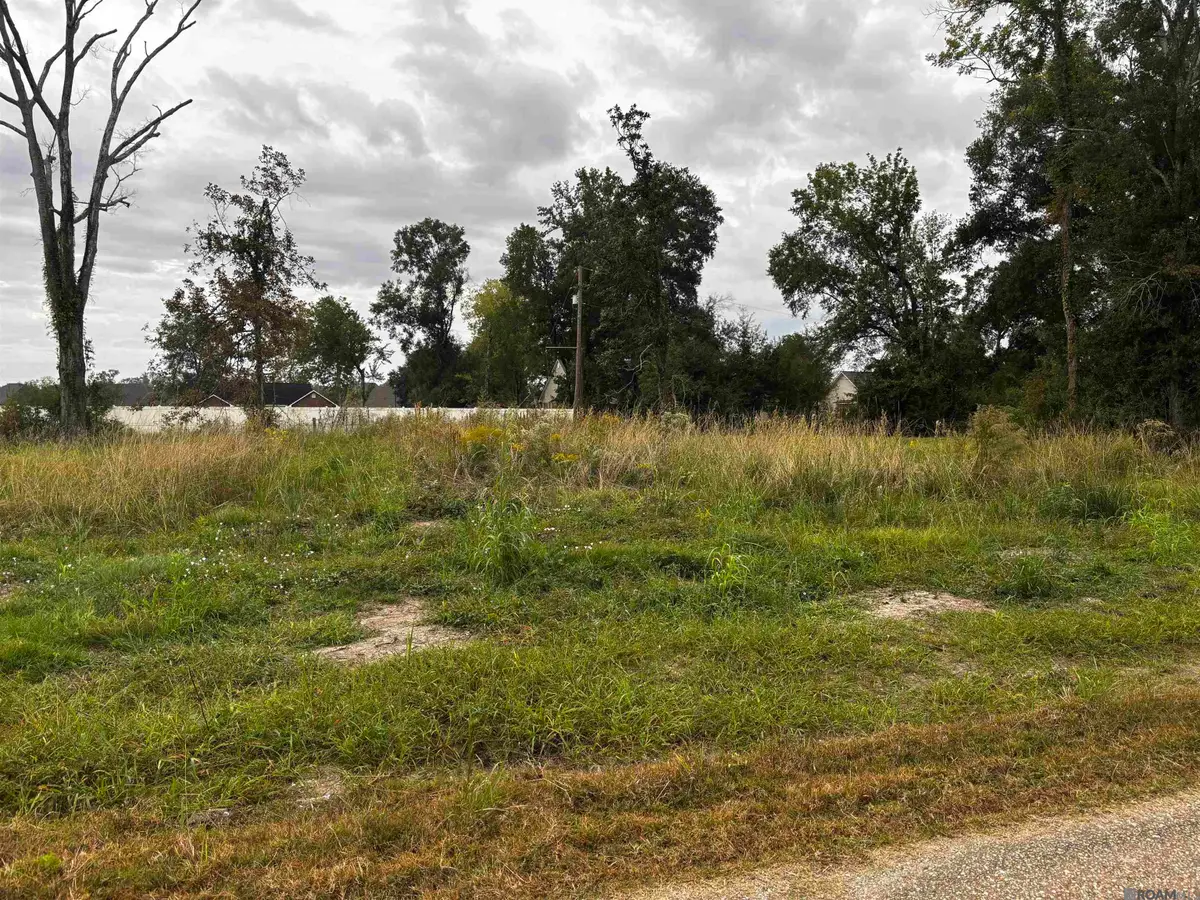 4-D-2 Courtney Rd, Gonzales, LA 70737 - Image #1