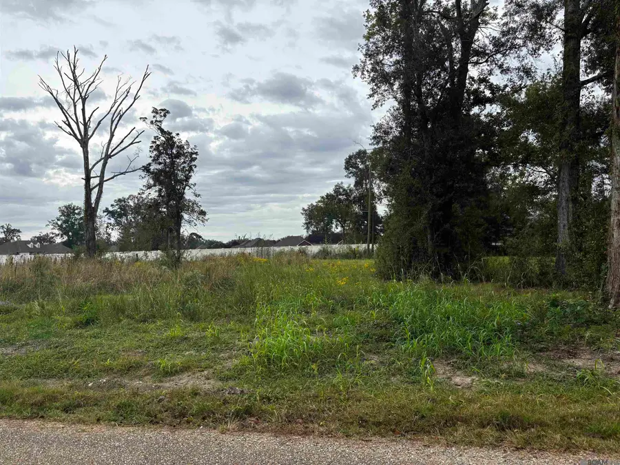 4-D-2 Courtney Rd, Gonzales, LA 70737 - Image #2