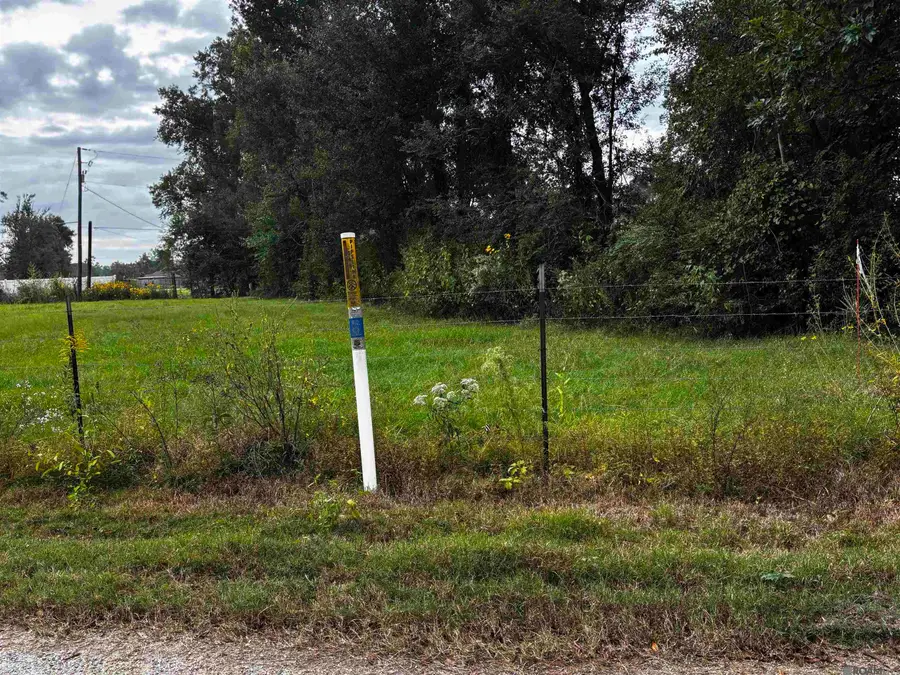 4-D-2 Courtney Rd, Gonzales, LA 70737 - Image #3