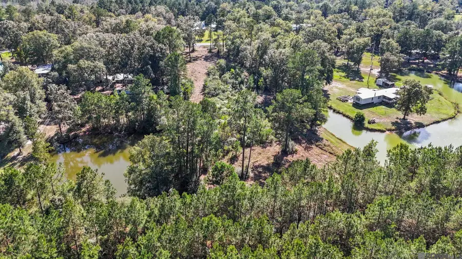 23731 Highway 42 Highway, Holden, LA 70754 - #2