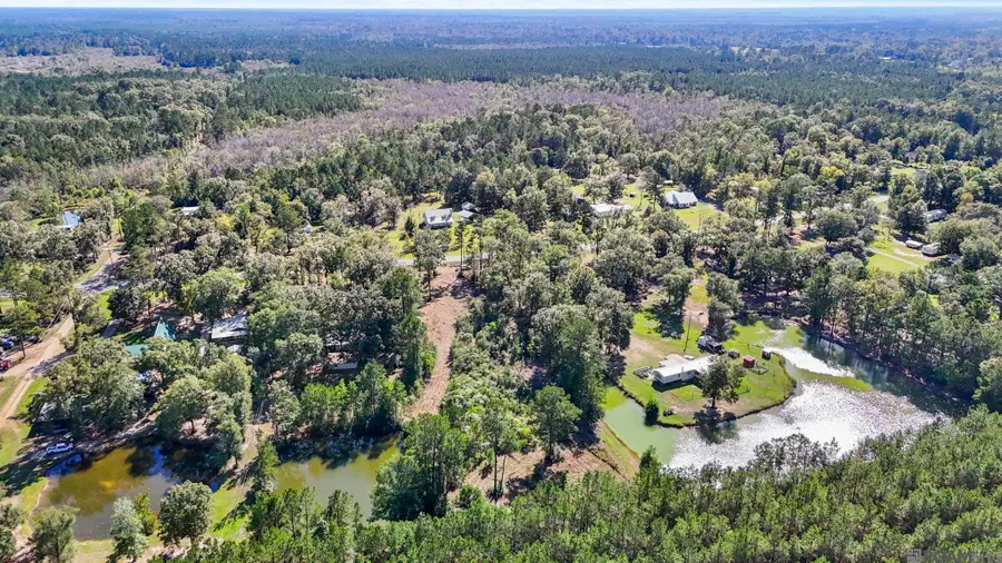 23731 Highway 42 Highway, Holden, LA 70754 - #3