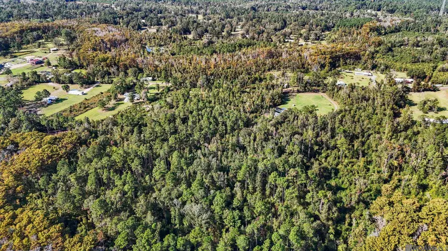 29794 Lower Rome Rd, Springfield, LA 70462 - Image #3