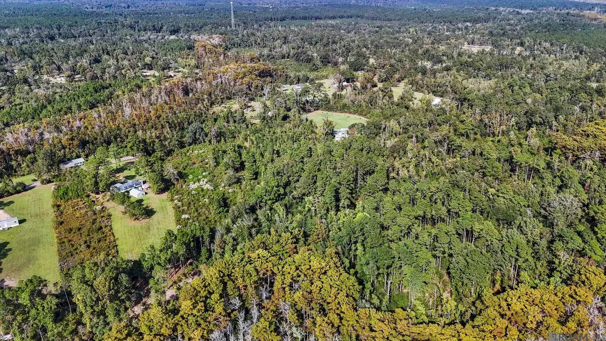 29890 Lower Rome Rd, Springfield, LA 70462 - Image #1