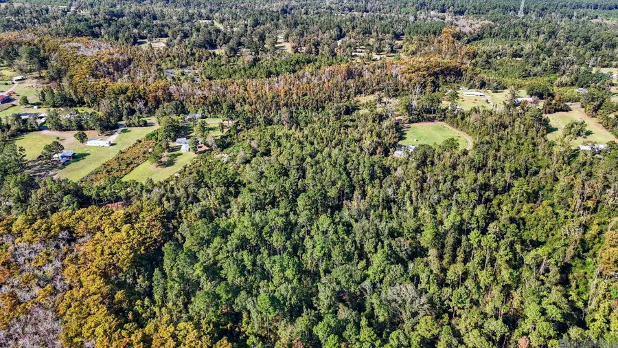 29890 Lower Rome Rd, Springfield, LA 70462 - Image #2