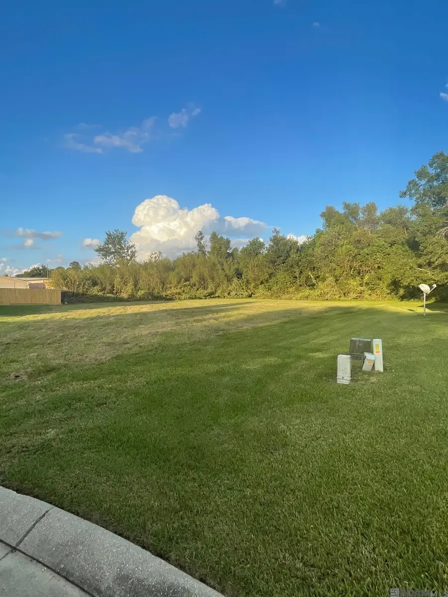 784 Emma Dr, Reserve, LA 70084 - #2