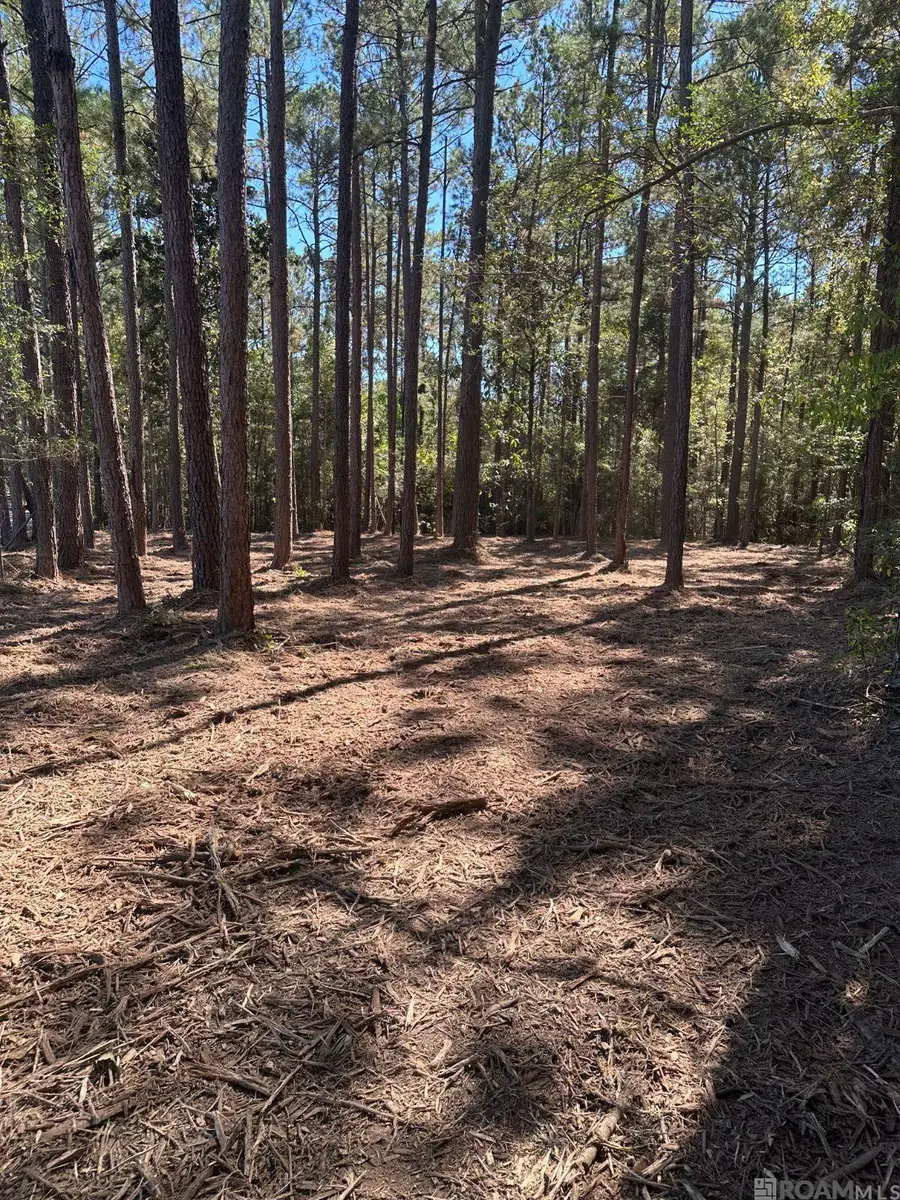 0 Johnny Martin Rd, Franklinton, LA 70438 - #3