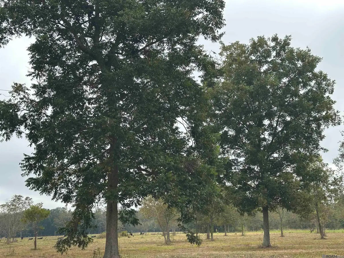 8874 Elton St, Livonia, LA 70755 - Image #1