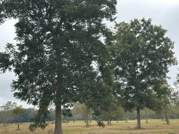 8874 Elton St, Livonia, LA 70755