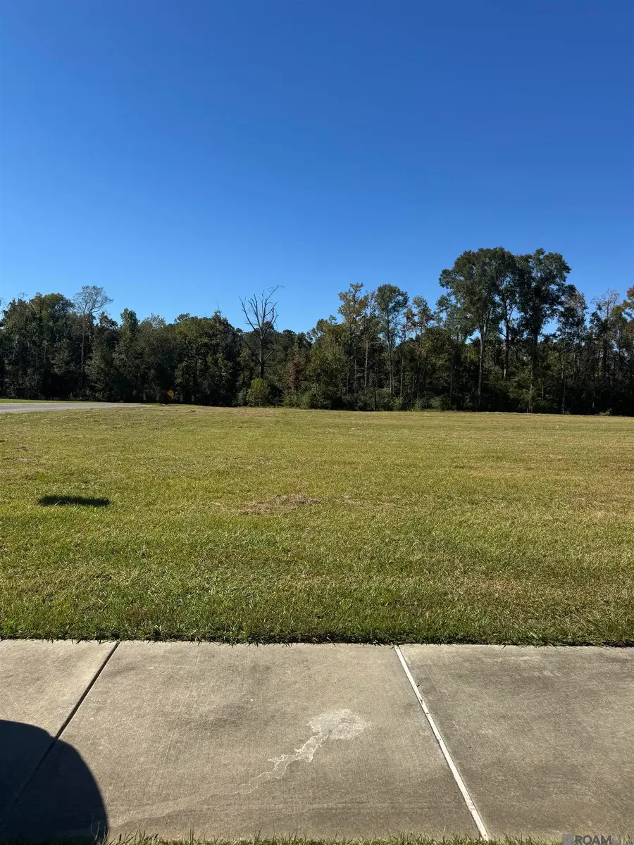 Lot 16 Manchac Reserve Dr, Baton Rouge, LA 70817 - #2