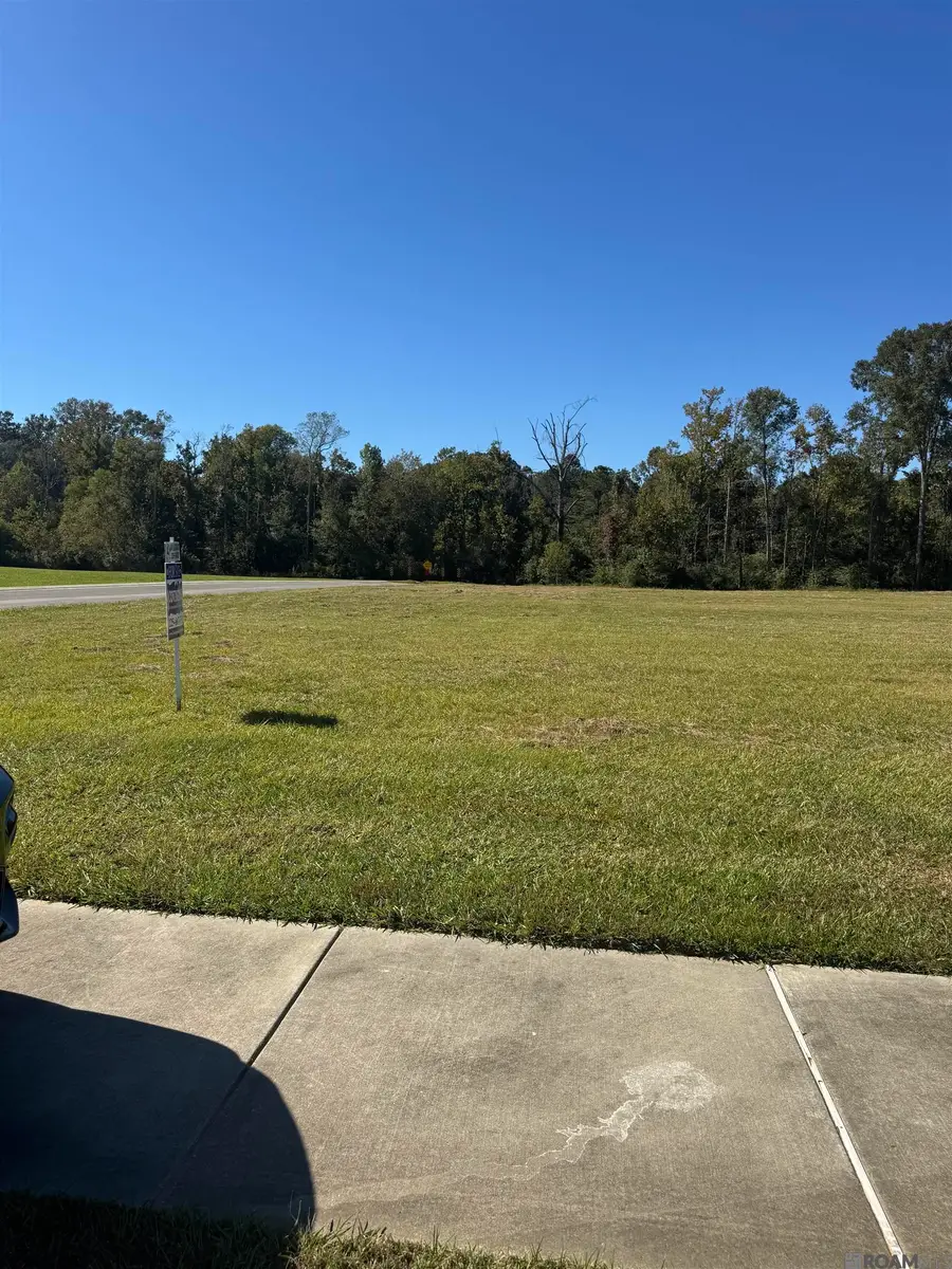 Lot 16 Manchac Reserve Dr, Baton Rouge, LA 70817 - #3