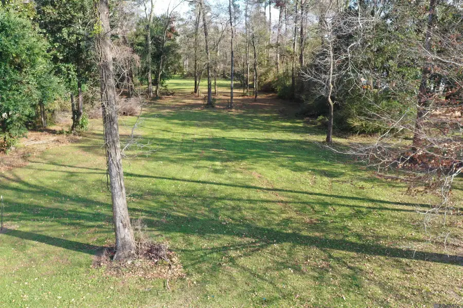 1.95 acres 4-h Club Rd, Denham Springs, LA 70726 - Image #2