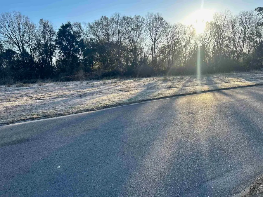 1484 Marque Ann Dr, Baton Rouge, LA 70815 - #2