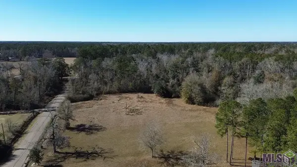 28519 N Horseshoe Rd, Independence, LA 70443