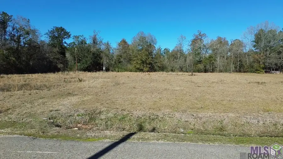 28519 N Horseshoe Rd, Independence, LA 70443 - Image #2