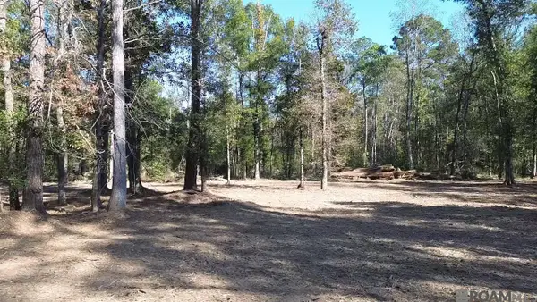 290 Westmoreland Ln, Montpelier, LA 70422