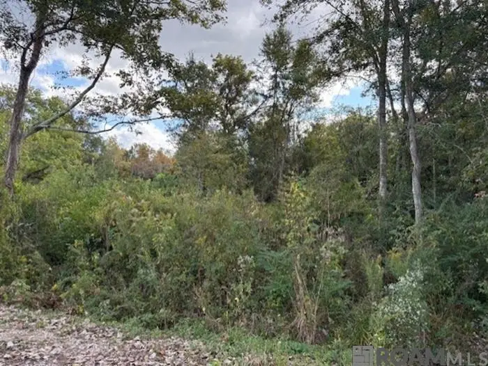 Cornerview Rd, Gonzales, LA 70737 - Image #1