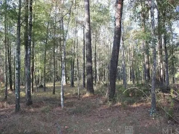 28545 Coker Vail Rd, Holden, LA 70744