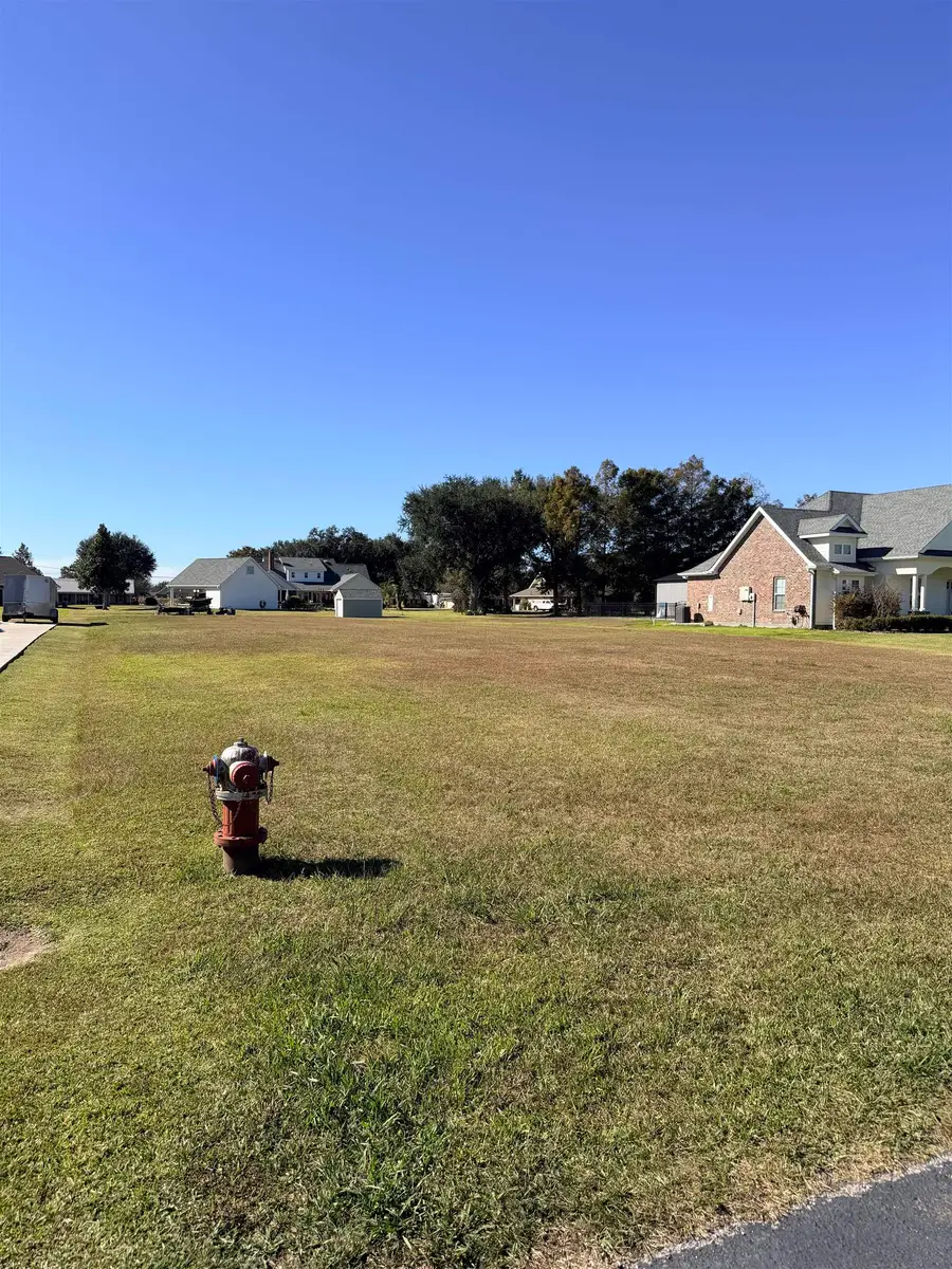13146 Desire St, Vacherie, LA 70090 - #2