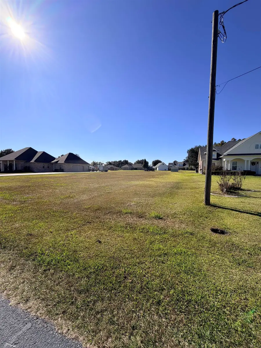 13146 Desire St, Vacherie, LA 70090 - #3