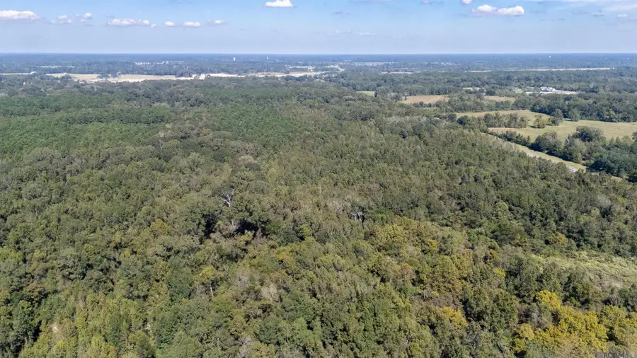 Lot B-1-B Old Scenic Hwy, Zachary, LA 70791 - Image #2