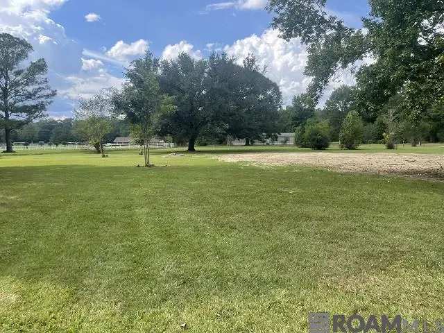 3839 Richmond Dr, Ethel, LA 70730 - Image #2