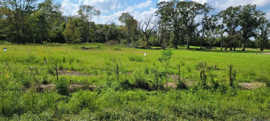 15405 La Hwy 931, Prairieville, LA 70769 - Image #3