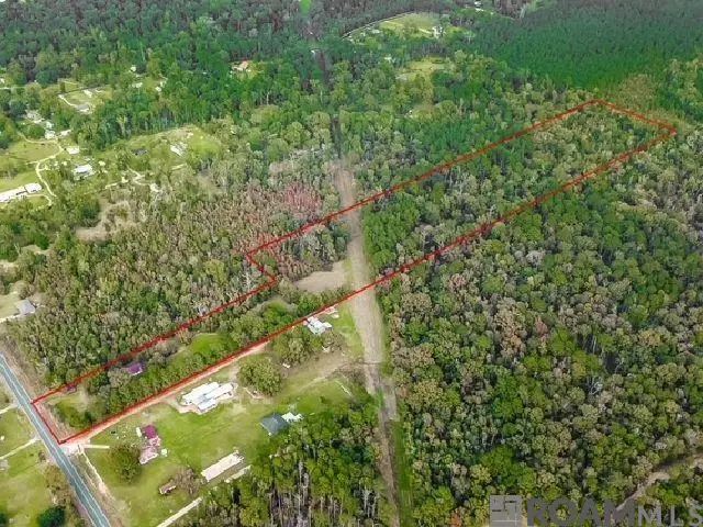 22256 Walker South Rd, Denham Springs, LA 70726 - #1