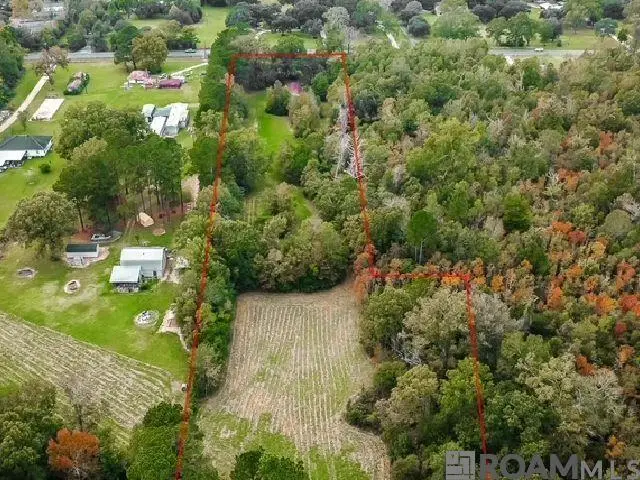 22256 Walker South Rd, Denham Springs, LA 70726 - #3