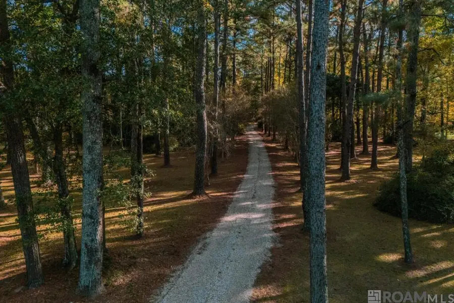 16714 Stoney Point Burch Rd, Pride, LA 70770 - Image #3