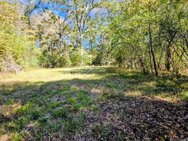 9887 Tunica Trace, St Francisville, LA 70775