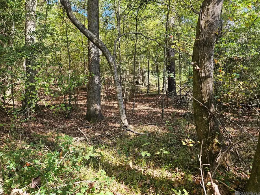 9887 Tunica Trace, Saint Francisville, LA 70775 - Image #3