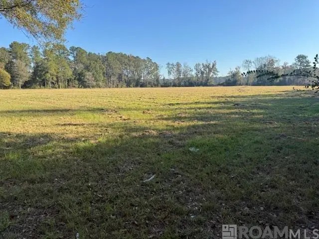 TBD Buck Carroll Rd, Walker, LA 70785 - #1