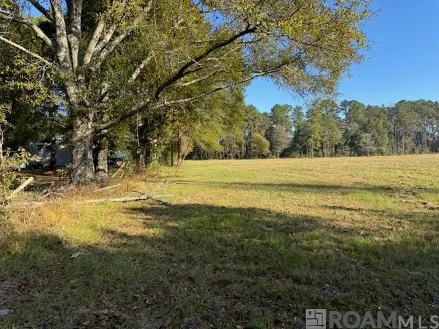TBD Buck Carroll Rd, Walker, LA 70785 - #2