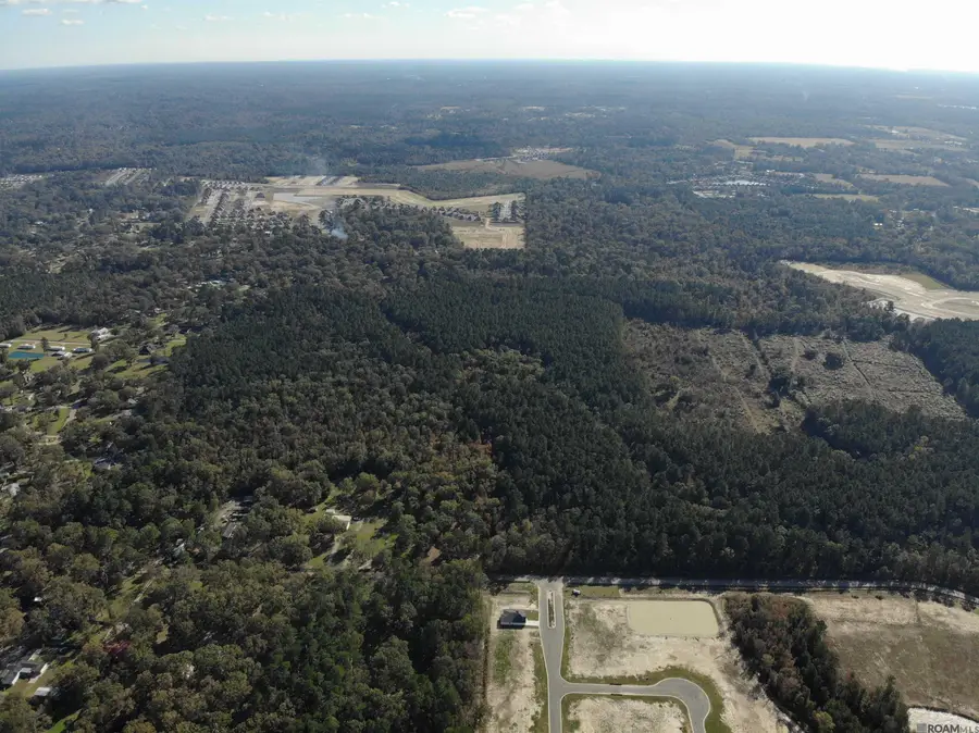 141.35 acres Brown Rd, Denham Springs, LA 70726 - #2