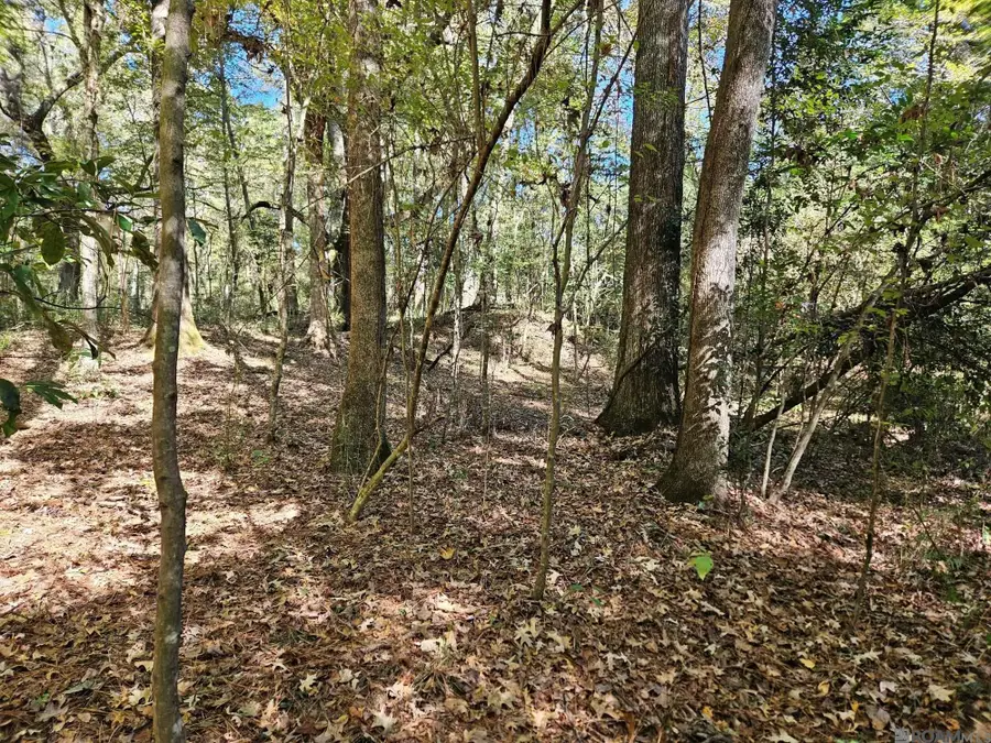 9901 Tunica Trace, Saint Francisville, LA 70775 - Image #2