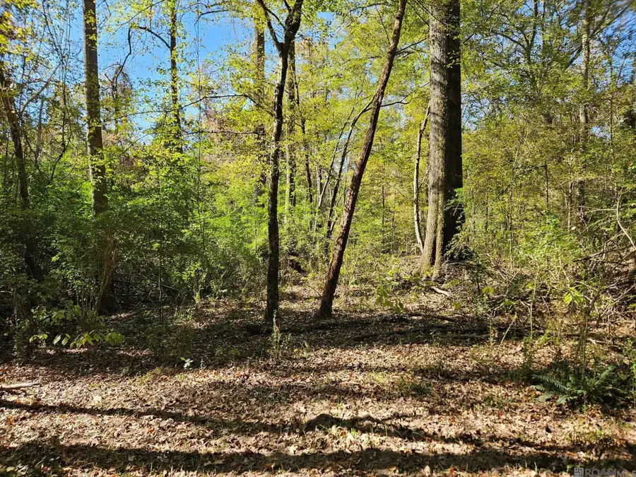 9901 Tunica Trace, Saint Francisville, LA 70775 - Image #3