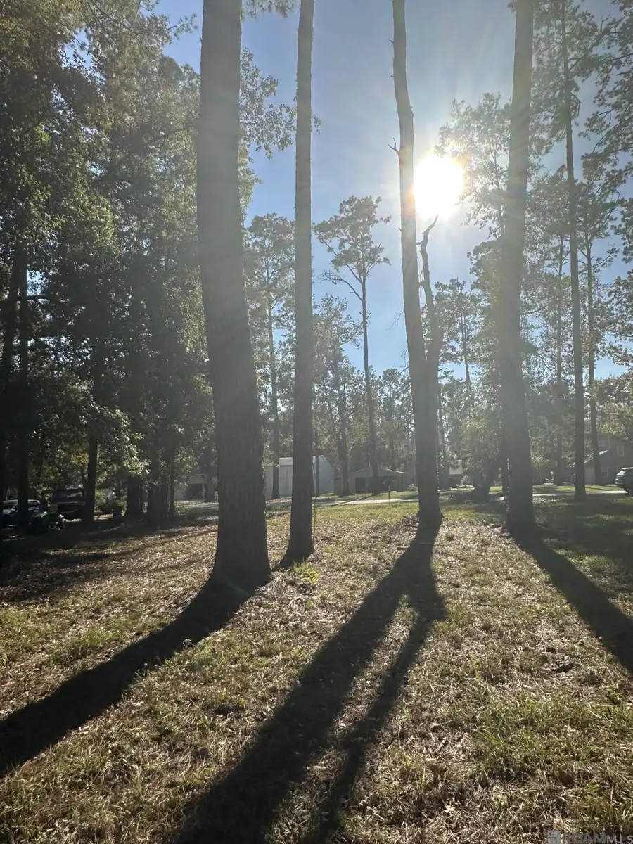 31581 River Pines Dr, Springfield, LA 70462 - Image #3