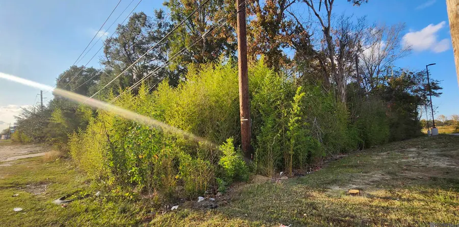 TBD Greenwell Springs Rd, Baton Rouge, LA 70814 - Image #2