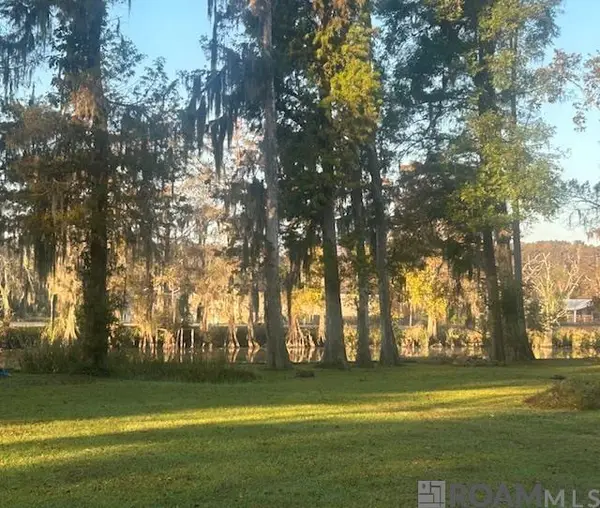 14245 Old River Rd, Maurepas, LA 70449