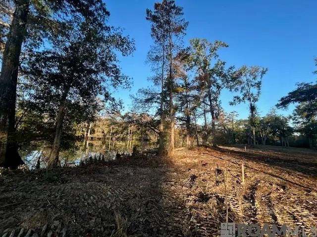 14251 Old River Rd, Maurepas, LA 70449 - #2