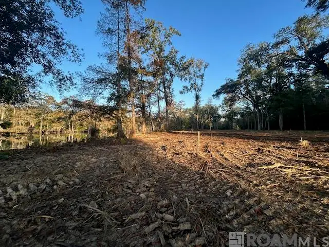 14275 Old River Rd, Maurepas, LA 70449 - #2