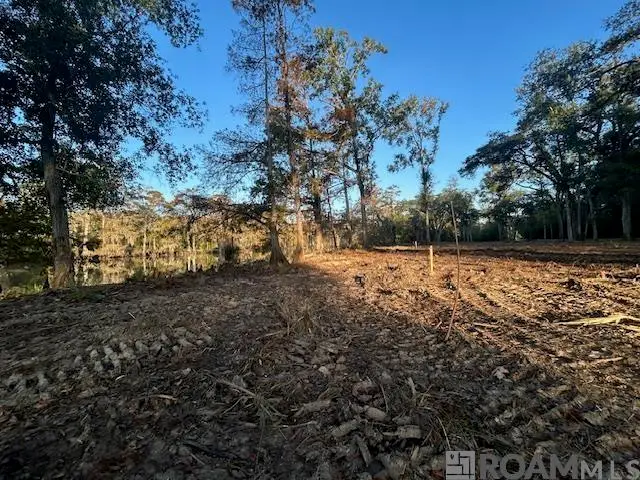 14305 Old River Rd, Maurepas, LA 70449 - #3