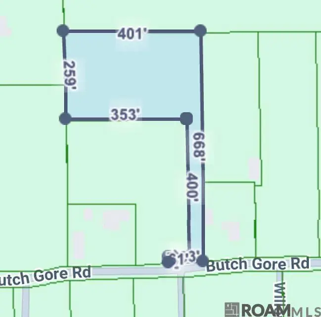 45162 Butch Gore Rd, Saint Amant, LA 70769 - Image #2