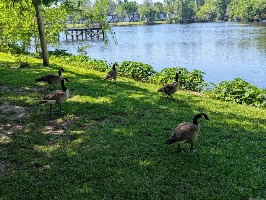 10280-10286 W Winston Ave, Baton Rouge, LA 70809 - Image #3