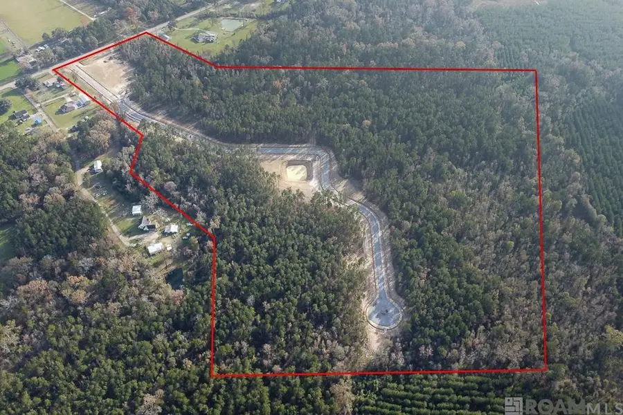 18337 Settlement Trace, Livingston, LA 70754 - Image #2