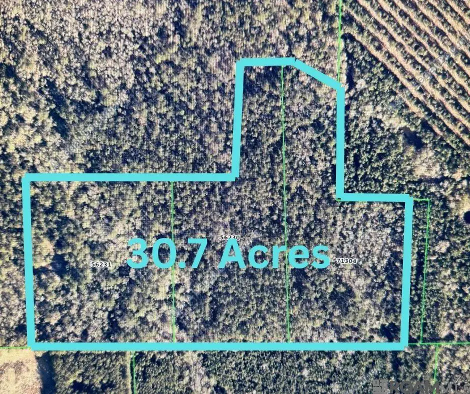 TBD Whit Road, Bogalusa, LA 70427 - Image #1