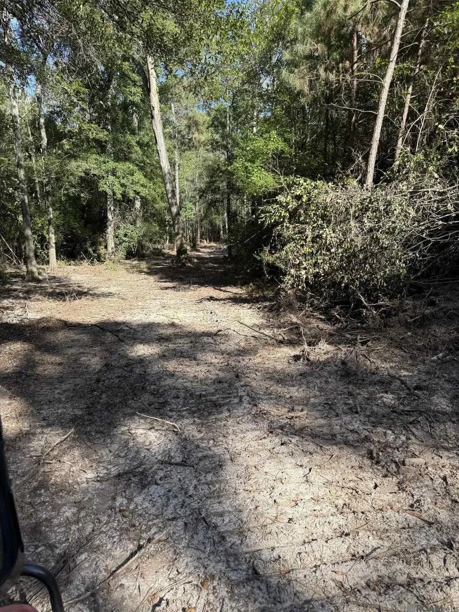 TBD Whit Road, Bogalusa, LA 70427 - Image #3