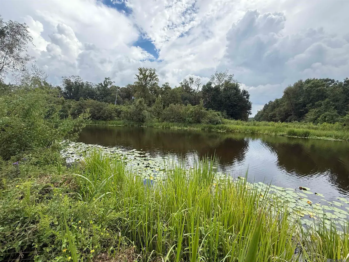 6-Z-1-E Pertuis Rd, Saint Amant, LA 70774 - Image #1