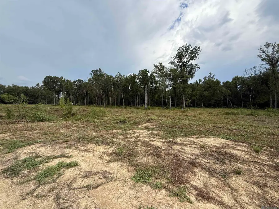 6-Z-1-E Pertuis Rd, Saint Amant, LA 70774 - Image #3